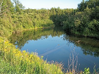 Mineral River river in the United States of America