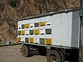Mobile beehive in Tajikistan.JPG