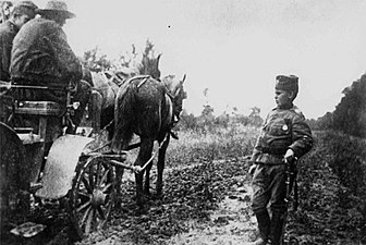 Fotografia de la Primera Guerra Mundial amb Momčilo Gavrić, 1914