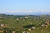 Vineyards in eastern Avony.