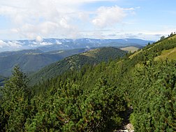 Козі хрыбет (Старагорскія Вярхі)