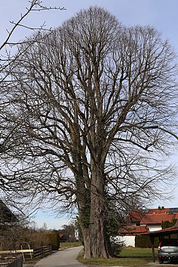 Schulweg Raubling