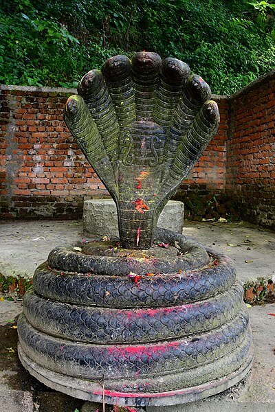 Idol of Shesha, Kathmandu