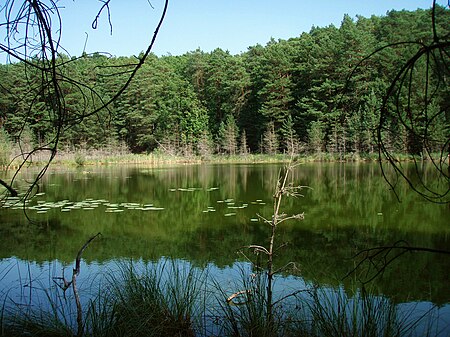 Naturschutzgebiet Teufelssee (2015 08 18 b)