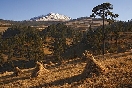 Nevado de Toluca