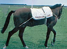 Nijinsky, the last winner of the Triple Crown in 1970 NijinskyII.jpg