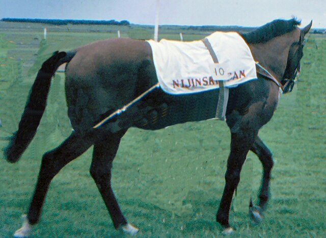 Nijinsky at the 1970 Irish Derby