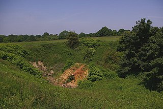 <span class="mw-page-title-main">Nore Hill Pinnacle</span> Local nature reserve in Surrey, England
