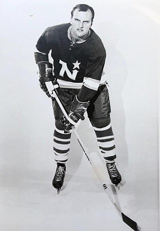 <span class="mw-page-title-main">Bob Charlebois</span> Canadian ice hockey player