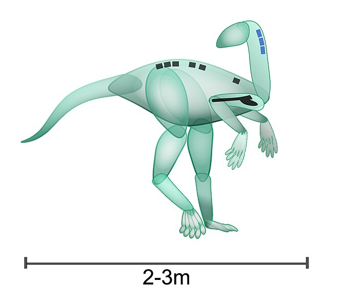 File:Nyasasaurus.jpg