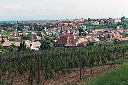 Oberotterbach, view to the village.jpg