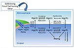 Thumbnail for Marine mercury pollution