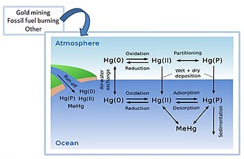 Mercury Pollution In The Ocean Wikipedia