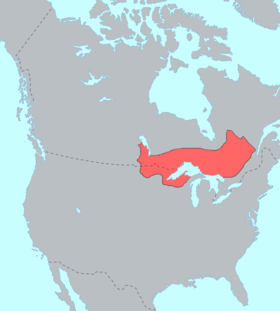 Mappa di distribuzione di Ojibway