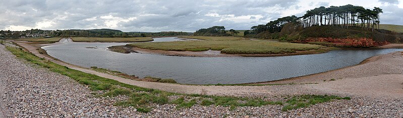 File:Otter Estuary 7.jpg