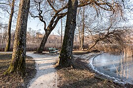 Pörtschach Halbinselpromenade Weiden und Parkbänke