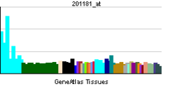 PBB GE GNAI3 201181 ĉe tn.png