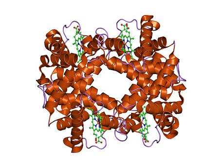 Hemoglobina, alfa 2