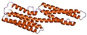 PDB 1t01 EBI.jpg