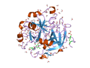 PDB 1t4v EBI.png