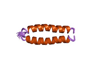 Fusion protein Protein created by joining other proteins into a single polypeptide (usually by protein engineering)