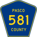 File:Pasco County 581.svg