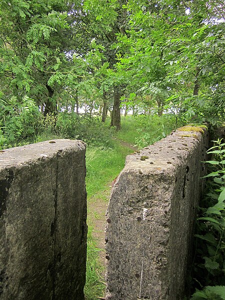 File:Path near Mixenden - geograph.org.uk - 4321236.jpg