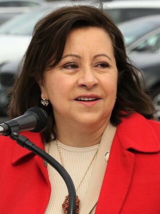 <span class="mw-page-title-main">Patricia Torres Ray</span> American politician