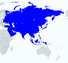 Peta Gambar Dunia Timur.png