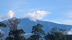 Summit of Pico Basilé