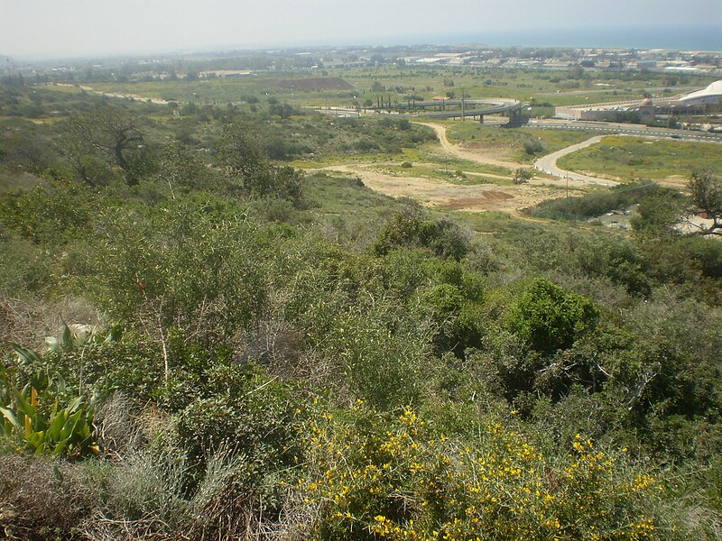 File:PikiWiki Israel 7072 Sports in Israel.JPG