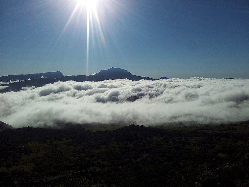 File:Piton des Neiges qui dépasse des nuages en fin d'après midi - panoramio.jpg