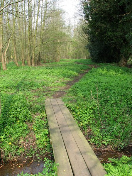 File:Plank bridge over drain - geograph.org.uk - 1253932.jpg