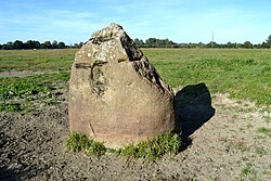 Suuntaa-antava kuva artikkelista Roche Buquet