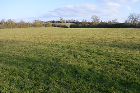 Poker's Pond Meadow 6