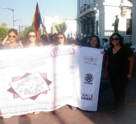 ไฟล์:Primera Marcha Lesbica de Guadalajara.jpg