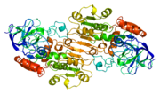 Vorschaubild für Alkoholdehydrogenase