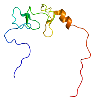 <span class="mw-page-title-main">LIMA1</span> Protein-coding gene in humans