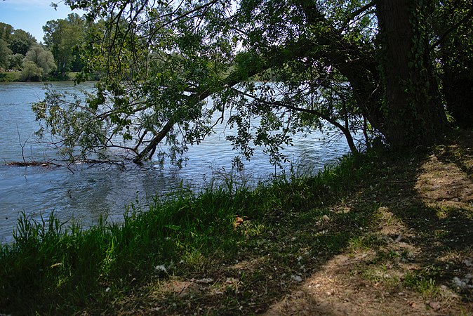 Français : Vue de la confluence Garonne-Ariège