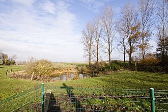 Mine crater at Railway Wood, located just behind the grave site R.E. Grave, Railway Wood 8.JPG