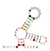 Flavi_ISFV_repeat_Ra Secondary structure taken from the Rfam database. Family RF03544