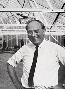 Black and white photograph of Roy Markham in a greenhouse at the John Innes Institute in 1967.