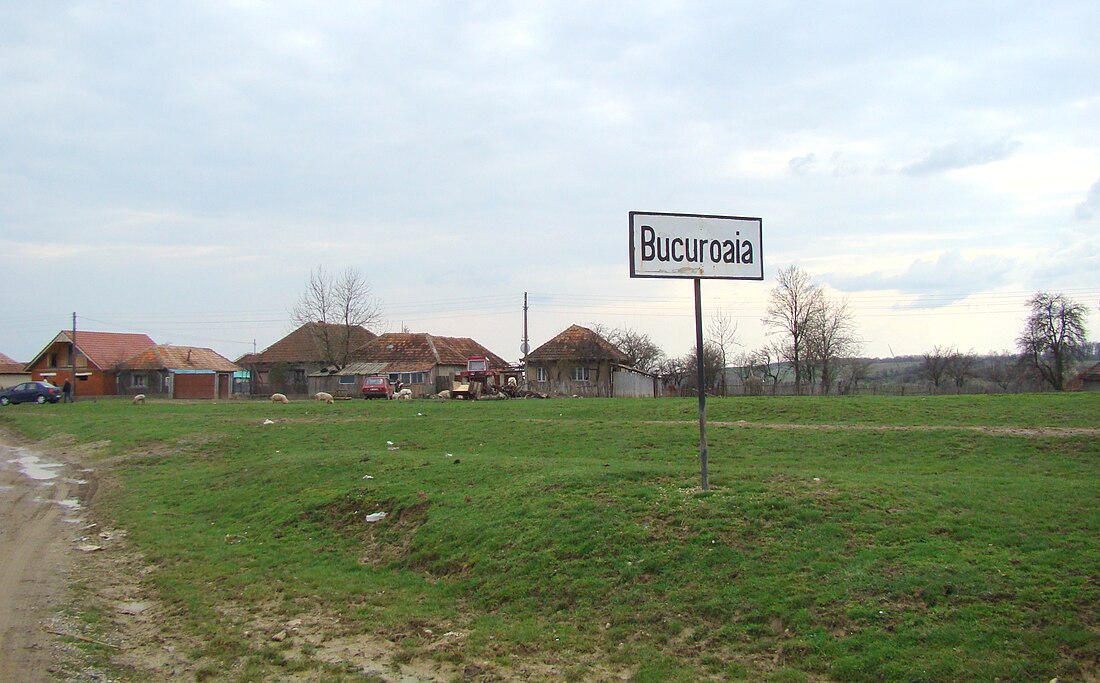 Bokorvány