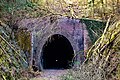 Rabenscheider Tunnel - Ostportal.jpg