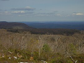 Red Rock mountain.jpg 