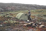 Thumbnail for Reindeer hunting in Greenland