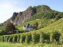 Das Weinbaugebiet im Siebengebirge, das nördlichste der alten Bundesländer