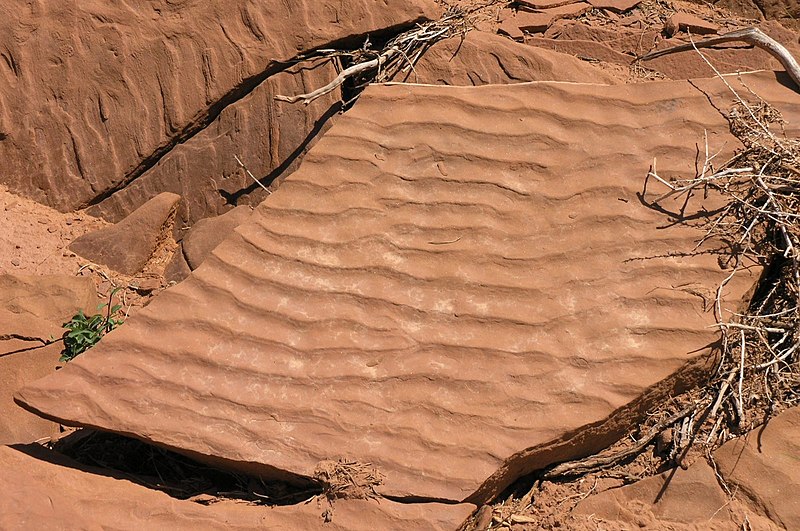 File:Ripple marks in Moenkopi Formation rock off of Capitol Reef Scenic Drive2.jpeg