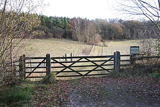 <span class="mw-page-title-main">Lincolnshire Gate</span> Human settlement in England