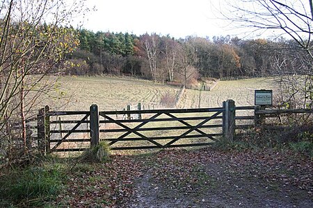 Robert's Field nature reserve